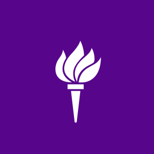 New York University